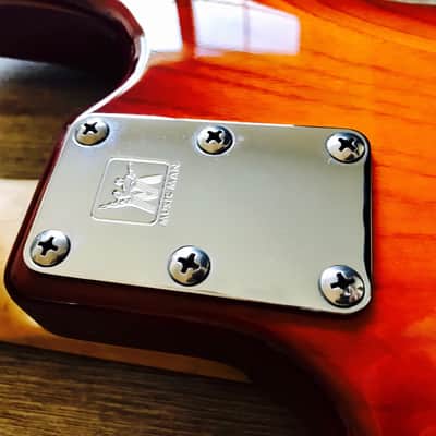 Ernie Ball Music Man Stingray 4 Fretless Bass 1997 image 9
