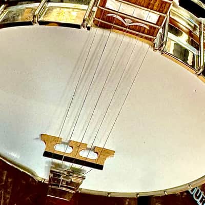 Gold Star 100JD Banjo - The Bluegrass album 2019 - Natural Gloss image 8