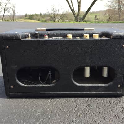 Fender Reverb Tube Type 1966 Black & White image 2