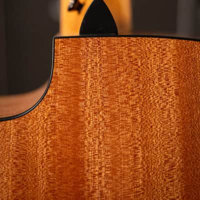 Taylor 150ce Bajo Quinto 12-String Acoustic/Electric Guitar - Sapele/Spruce with Gig Bag image 8