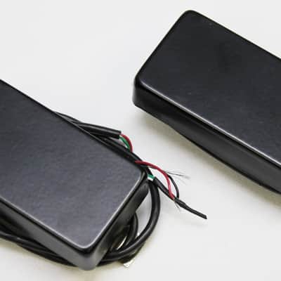 Bare Knuckle Warpig Humbucker Set 2003 - Present - Black **Custom Order!!** image 1