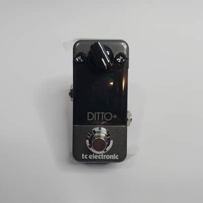 TC Electronic Ditto+ Looper in Box image 2
