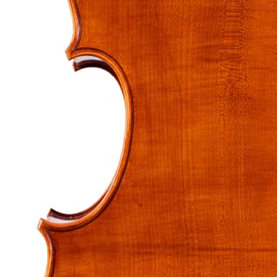 Testore Cello 4/4 from One Piece Back – Hand-Made in Romania 2025 #100 image 5