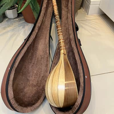 Vahid Manteghi Persian Setar (Intermediate) mid 2010s image 12