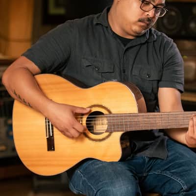 Ortega RCE159SN Performer Series Solid Cedar Top  Mahogany Neck Cutaway Nylon 6-String Classical Acoustic-Electric Guitar w/Gig Bag image 22