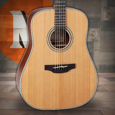 Takamine GD20 - Natural Satin (TAKGD20NS) image 1