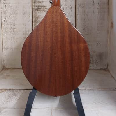 Ashbury AM-130 Mandolin A style image 3