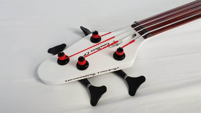 NEW & RARE: Aedvines (NL) CuraBass EP Fretless Bass Piëzo 2022