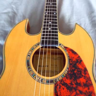 SG Style Acoustic-Electric image 2