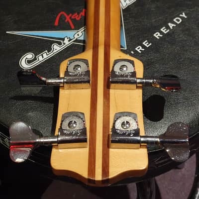1979 Wal Pro Bass RARE Plain Face Earliest Example! Frets Removed To Play Fretless! image 7