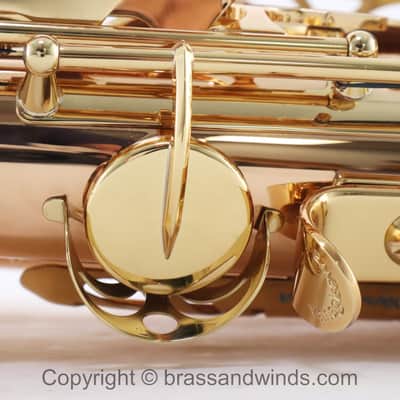 Yanagisawa Model AWO20 Elite Alto Saxophone SN 398596 SUPERB image 22