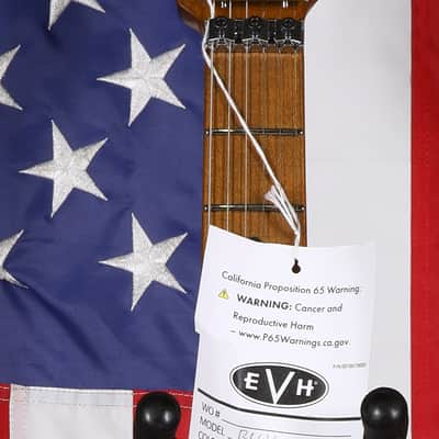 EVH Frankenstein Relic - Silverburst image 4