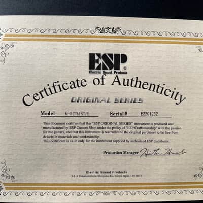 ESP ORIGINAL M-II CTM NT 2024 - Castmetal Silver image 12