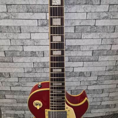 Arbor Les Paul Copy image 3
