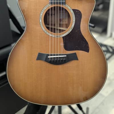 Taylor 512ce Urban Ironbark 2022 - Present - Tobacco image 1