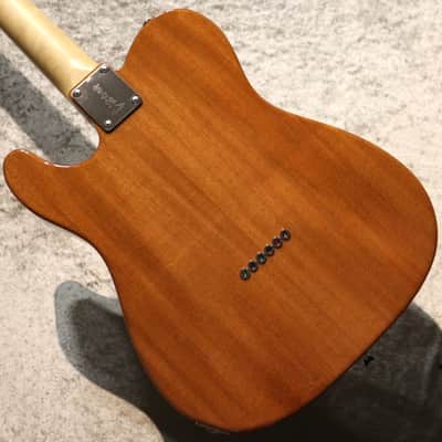 FUJIGEN(FGN) NTE110MMHT ~Natural~ #H240182 【3.35kg】 image 7