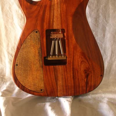 Bhakatt Guitar Double Cut 2026 - Body Polyurethanes neck oil finish image 10