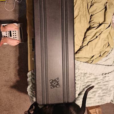 Modulus Quantum 5 2007 - Vintage burst image 25