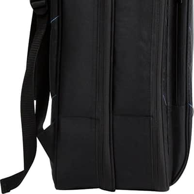 Reunion Blues RBX-2B Double Bass Guitar Gig Bag, Black image 3