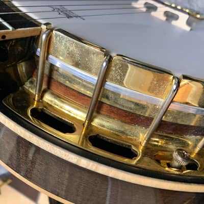 Gold Tone OB-250 Orange Blossom 5-String Banjo image 5