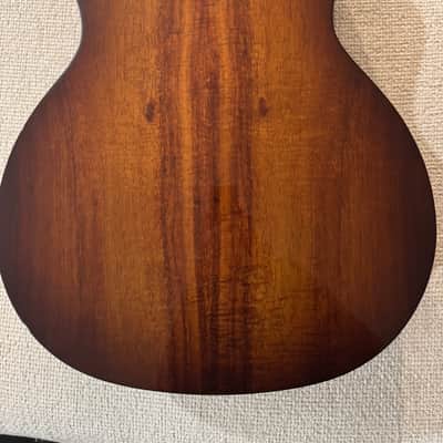 Taylor 224ce-K DLX custom with ES2 electronics - Cutaway - Shaded Edge Burst image 5