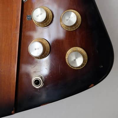 Gibson Firebird 2016 + custom hardcase image 3