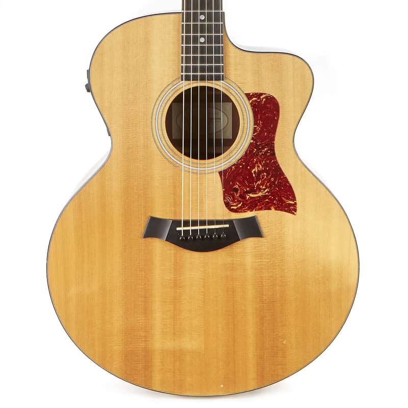 Taylor 315ce with Fishman Electronics image 2