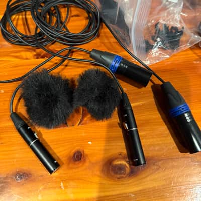 Sonorous Objects Ultrasonic OMNI mic SO.4 pair image 2