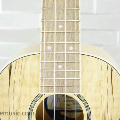 Fender Zuma Exotic Concert Ukulele - Natural Spalted Maple image 3
