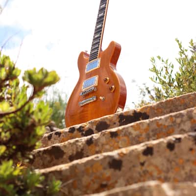 Gibson Les Paul Standard Double Cutaway 1998 - Amber Serrano image 18