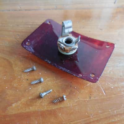 Kay Harmony Silvertone Tortoise Plastic Jack Plate with Switchcraft Jack. image 2