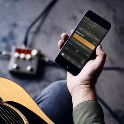 Lr Baggs Voiceprint Di image 6
