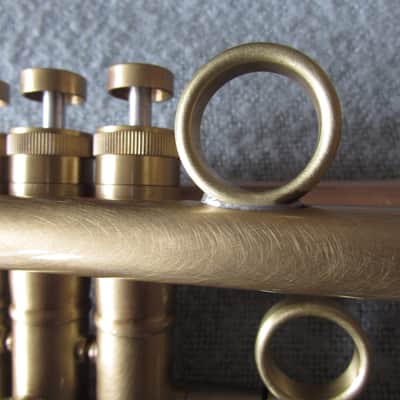 Taylor Trumpet Chicago Standard II image 14