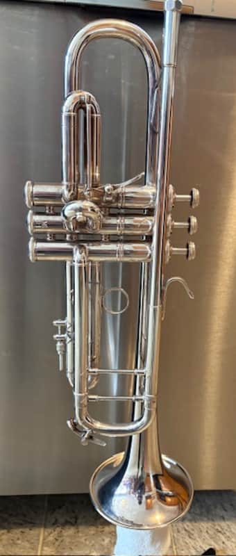 Bach Stradivarius - Silver image 1