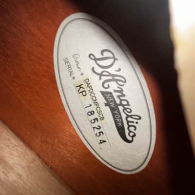 D'Angelico Premier DC Semi-Hollow Double Cutaway with Stop-Bar Tailpiece, Ovangkol Fretboard 2019 - 2020 - Champagne image 5