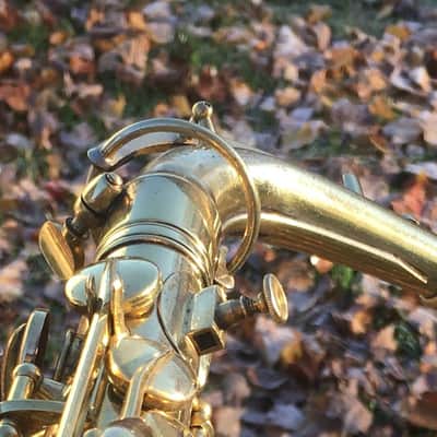 CONN GOLD PLATED ALTO STENBERG PORTRAIT RARE 1929 CHU BERRY FINISH 97% SAX SAXOPHONE ENGRAVING CRISP image 14