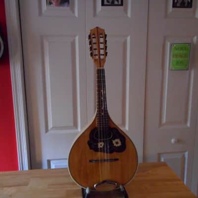 "Vintage" Perl-Gold German Mandolin  natural "Newly Restored" image 10