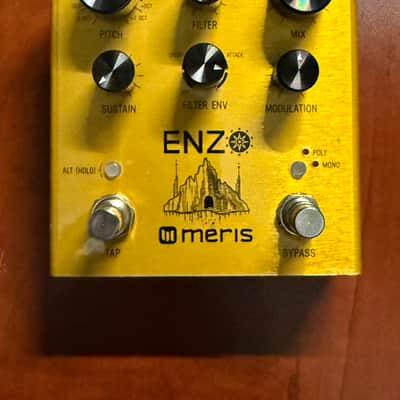 Immagine Meris Enzo 2018 - Gold - 1