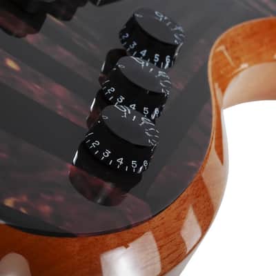 Wylde Audio Wrathmaker Tortoise Shell Corridors image 9