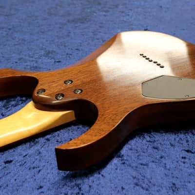 Ibanez RG 7621 1998 Mahogany Oil Finish Dimarzio One Of a Kind Demo image 17