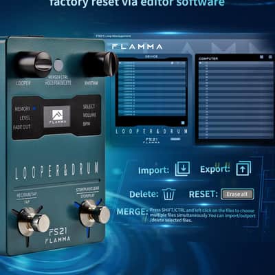 FLAMMA FS21 Stereo Guitar Looper Pedal & Drum Machine 2-in-1 with160 Minutes Loop Recording Capacity 100 Drum Grooves 10 Metronome Support Software Editing image 3