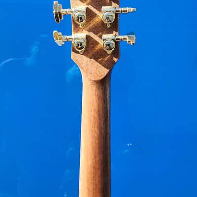 335 style semi hollowbody image 5