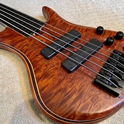 Immagine Roscoe LG Rustic Redwood Flamed Burl Fretless 5 string bass guitar *Gorgeous instrument* w/case - 1