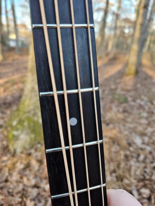 Kramer Ferrington Acoustic Electric Bass KFB-2 89-90 Gene | Reverb