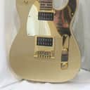 Squier John 5 Signature J5 Telecaster with Rosewood Fretboard 2014 - 2018 - Frost Gold