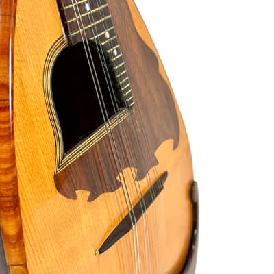Concert Mandolin E. De Cristofaro 1930's image 5