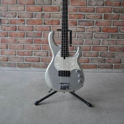 Modulus Funk Unlimited FU4 Flea FB4 Bass 2000 Silver Sparkle Lane Poor Aguilar OPB-1 image 1