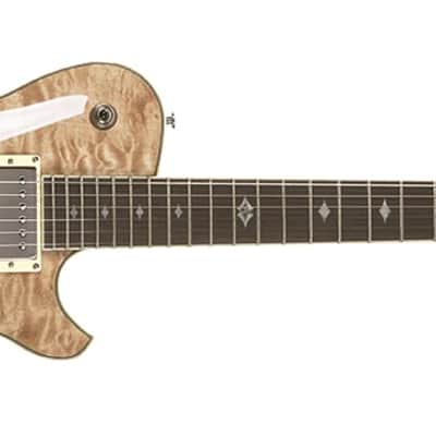 Michael Kelly Custom Collection Patriot Instinct Bold Electric Guitar, Pau Ferro Fingerboard image 6