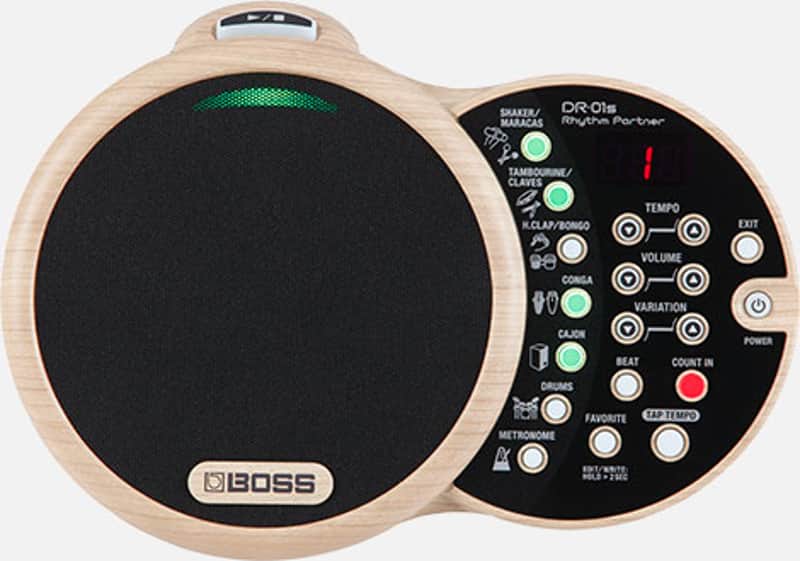 Boss DR-01s Rhythm Partner Acoustic Drum Machine w/ Fast & Free Shipping image 1