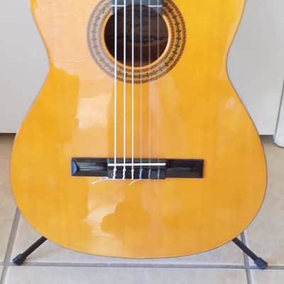 FENDER Gemini 1 Nylon String Classical Acoustic Guitar / Hard Case image 2